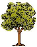 Bomen