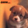 Dieren Puppy Avatars 