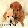 Dieren Puppy Avatars 