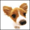 Dieren Puppy Avatars 