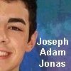 Sterren Jonas brothers Avatars 