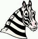 Dieren Zebra Dieren plaatjes 