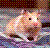 Dieren Hamsters Icon plaatjes 