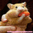 Dieren Hamsters Icon plaatjes 