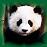 Dieren Panda Icon plaatjes 