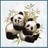 Dieren Panda Icon plaatjes 