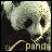 Dieren Panda Icon plaatjes 