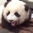 Dieren Panda Icon plaatjes 