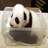 Dieren Panda Icon plaatjes 