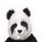 Dieren Panda Icon plaatjes 