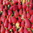 Aardbeien Icons Icon plaatjes 