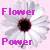 Bloemen Icons Icon plaatjes 