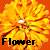 Bloemen Icons Icon plaatjes 