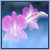 Bloemen Icons Icon plaatjes 