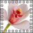 Bloemen Icons Icon plaatjes 