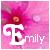 Icon plaatjes Naam icons Emily 