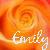 Icon plaatjes Naam icons Emily 