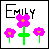 Icon plaatjes Naam icons Emily 