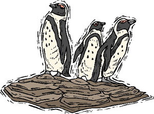 Dieren Cliparts Pinguins 