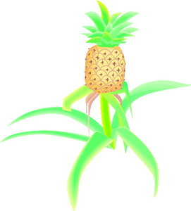 Cliparts Eten en drinken Ananas 