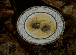 Eten en drinken Eten en drinken plaatjes Feestmaaltijden 