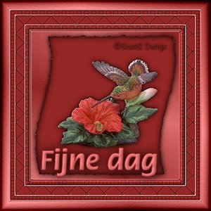 Plaatjes Fijne 