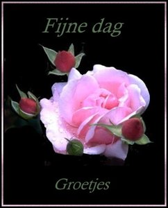 Plaatjes Fijne 