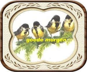 Plaatjes Goedemorgen 