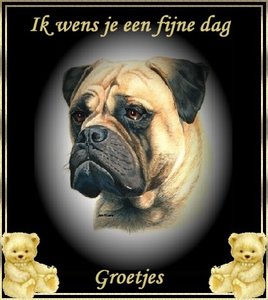 Plaatjes Groetjes 