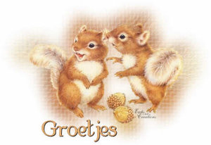 Plaatjes Groetjes 