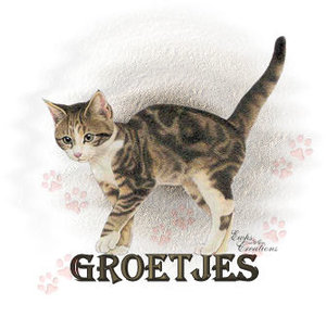 Plaatjes Groetjes 