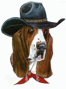 Honden Plaatjes Cowboyhond