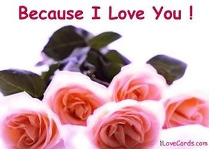 Valentijn Plaatjes Because I Love You Roze Rozen