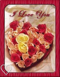 Valentijn Plaatjes I Love You Rozen Valentijn