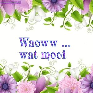 Waoww Wat Tekst Plaatjes Animaatjes.nl
